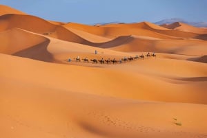 Marrakech : 3 jours dans le désert de Merzouga, chameau, quad et tente privée