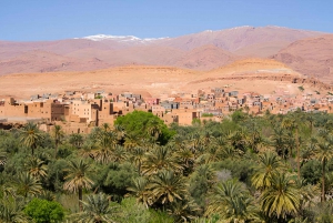 Marrakech : 3 jours dans le désert de Merzouga, chameau, quad et tente privée