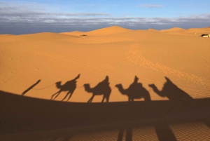 Van Marrakech: 3 daagse woestijntrip naar Fes