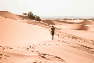 Fra Marrakech: 3-dages ørkentur til Fes