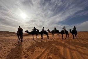 Da Marrakech: 3 giorni nel deserto con soggiorno in campo, cammello e pasti