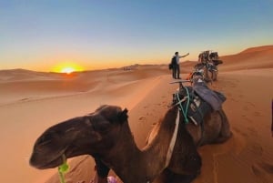 From Marrakech: 3-Day Luxury Desert Tour to Fes via Merzouga