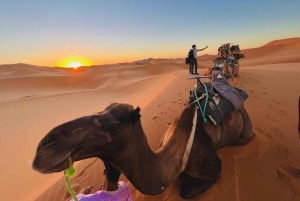 Au départ de Marrakech : Circuit de luxe de 3 jours dans le désert jusqu'à Fès via Merzouga