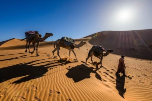 Au départ de Marrakech : Circuit de luxe de 3 jours dans le désert jusqu'à Fès via Merzouga