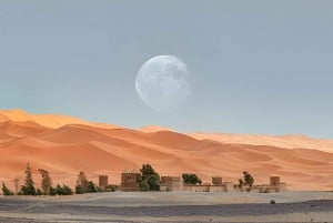 Marrakech: Wüstenexkursion, Quad, Kamel, Abendessen & Feuershow