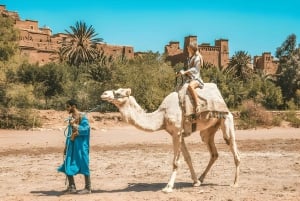 Marrakech: Wüstenexkursion, Quad, Kamel, Abendessen & Feuershow