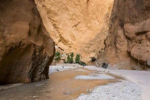 Marrakech: Wüstenexkursion, Quad, Kamel, Abendessen & Feuershow