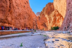 Marrakech: Wüstenexkursion, Quad, Kamel, Abendessen & Feuershow