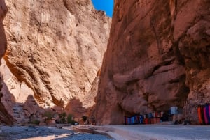 Marrakech: Wüstenexkursion, Quad, Kamel, Abendessen & Feuershow