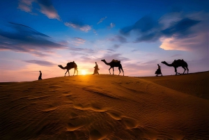 Marrakech: Wüstenexkursion, Quad, Kamel, Abendessen & Feuershow