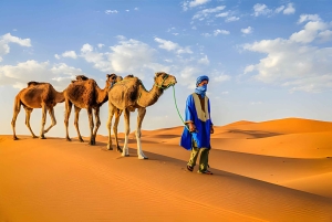 Fra Marrakech: 3-dagers tur til Merzouga og Sahara-ørkenen