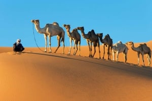 Marrakech: 3-day Merzouga Desert, Quad & Camel + Dinner Show