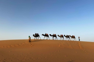 Marrakech to Fes: Quad, Dinner, Camel, 3-Day Desert Tour