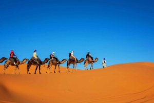 Marrakech : 3 jours dans le désert de Merzouga, chameau, quad et tente privée
