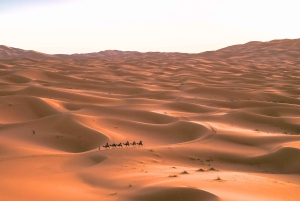 Marrakech : 3 jours dans le désert de Merzouga, chameau, quad et tente privée