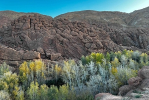 Desde Marrakech: tour de 3 días por el desierto de Merzouga con tienda privada