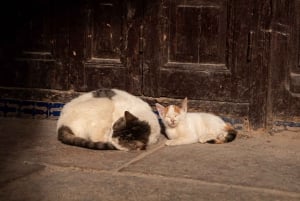 Marrakech to Fes: Quad, Dinner, Camel, 3-Day Desert Tour