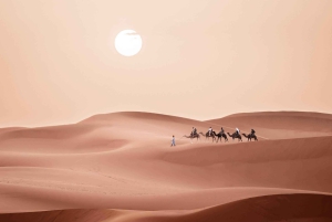 Marrakech to Fes: Quad, Dinner, Camel, 3-Day Desert Tour