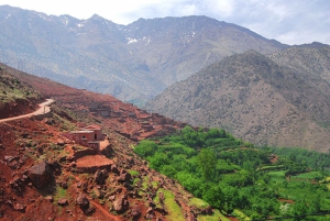 From Marrakech: 3-Day Mount Toubkal Climbing Trek