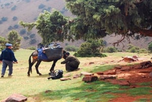 Da Marrakech: Trekking di 3 giorni per la scalata del Monte Toubkal