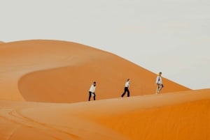 Fra Marrakech: 3-dagers Sahara-ørkentur til Agadir