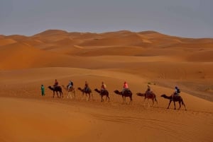 Fra Marrakech: 3-dagers Sahara-ørkentur til Agadir
