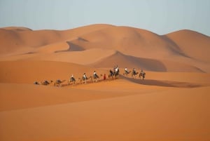 Fra Marrakech: 3-dagers Sahara-ørkentur til Agadir