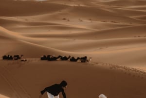 Fra Marrakech: 3-dagers Sahara-ørkentur til Agadir