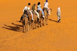 Marrakechista: Merzougaan.