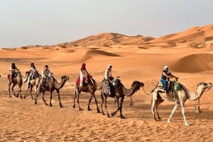 Marrakechista: Merzougaan.