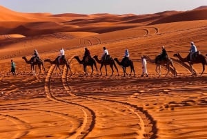 Fra Marrakech: 3-dages Sahara-ørkentur med måltider og lejr