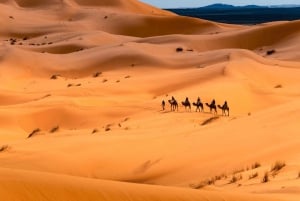 From Marrakech: 3-Day Sahara Desert Tour