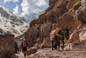 From Marrakech: 3-Day Toubkal Climbing