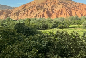 Из Марракеша: 3-дневный тур в пустыню Мерзуга, 2 ночи