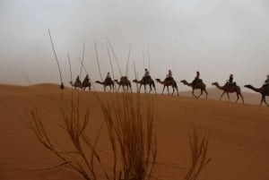 From Marrakech: 3-Day Trip to Fes via Merzouga Desert