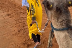 Marrakech : 3 jours dans le désert de Merzouga, chameau, quad et tente privée