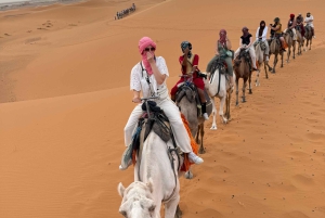 Marrakech : 3 jours dans le désert de Merzouga, chameau, quad et tente privée