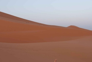 Marrakech : 3 jours dans le désert de Merzouga, chameau, quad et tente privée