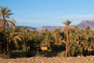 From Marrakech : 3 Days 2 Nights To Sahara Merzouga desert