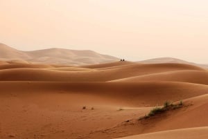 Fra Marrakech: 3 dage og 2 nætter til Sahara Merzouga-ørkenen