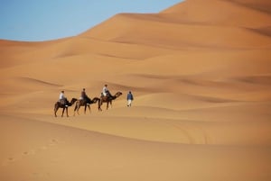 Fra Marrakech: 3 dage og 2 nætter til Sahara Merzouga-ørkenen