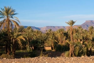 Fra Marrakech: 3 dage og 2 nætter til Sahara Merzouga-ørkenen