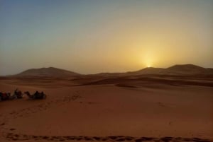 From Marrakech: 3 Days Desert Tour To Merzouga Dunes & Camel