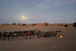 From Marrakech: 3 Days Desert Tour To Merzouga Dunes & Camel