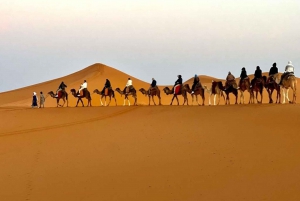 From Marrakech: 3 Days Desert Tour To Merzouga Dunes & Camel