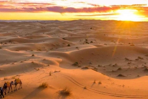 Fra Marrakech: 3 dagers ørkenutflukt til Merzouga Luxury Camp