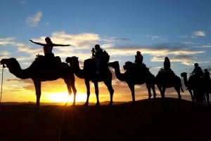 From Marrakech: 3 Day Desert Tour to Merzouga with Glamping