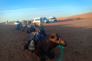 Van Marrakech 3-daagse, 2 nachten woestijntrip naar Merzouga Duinen