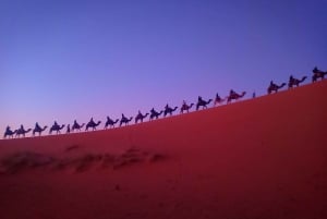 Fra Marrakech 3-dagers ørkentur med 2 overnattinger til Merzougas sanddyner