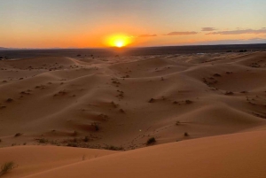 From Marrakech: 3-Days Private Desert Tour